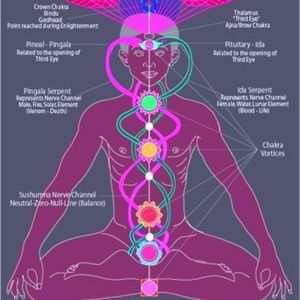 Meet your Posher, Hyro